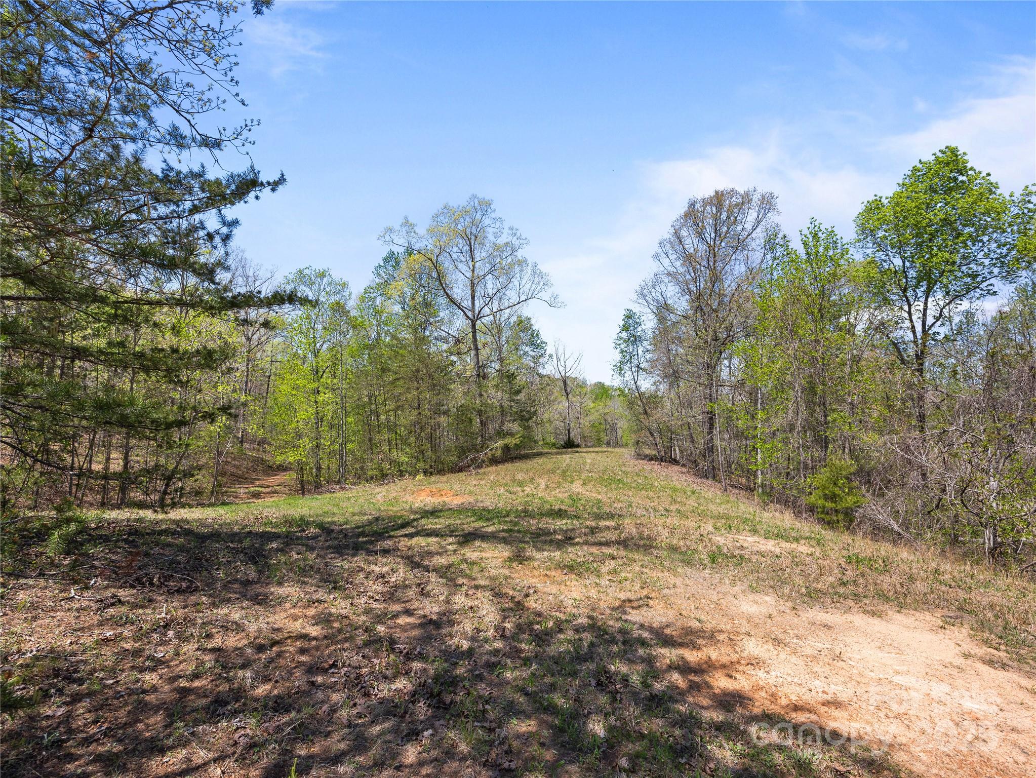 0 South County Line Road Rutherfordton, NC 28139 - Photo 19 of 47