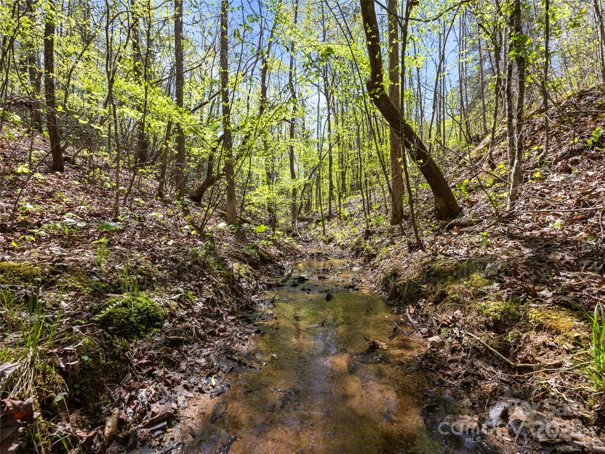 0 South County Line Road Rutherfordton, NC 28139 - Photo 20 of 47