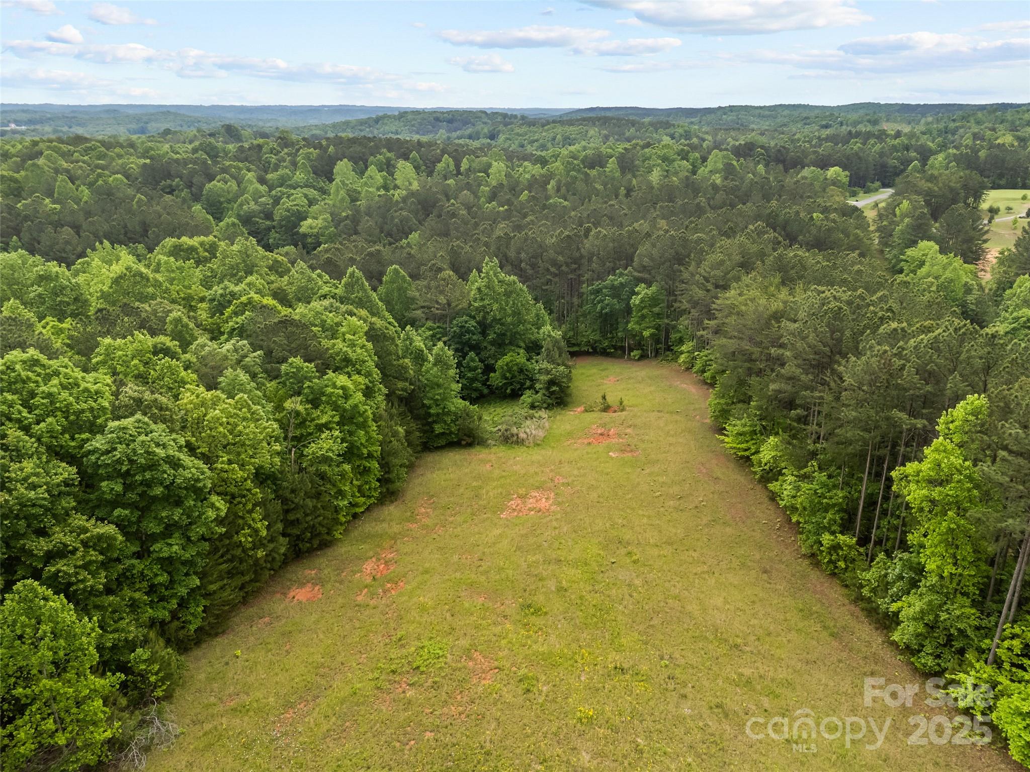 0 South County Line Road Rutherfordton, NC 28139 - Photo 2 of 47