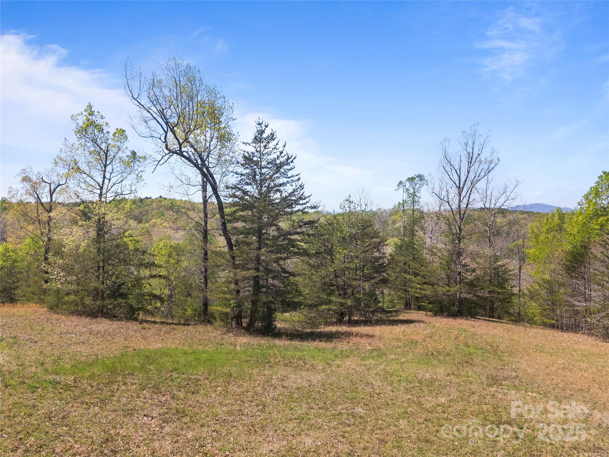 0 South County Line Road Rutherfordton, NC 28139 - Photo 21 of 47