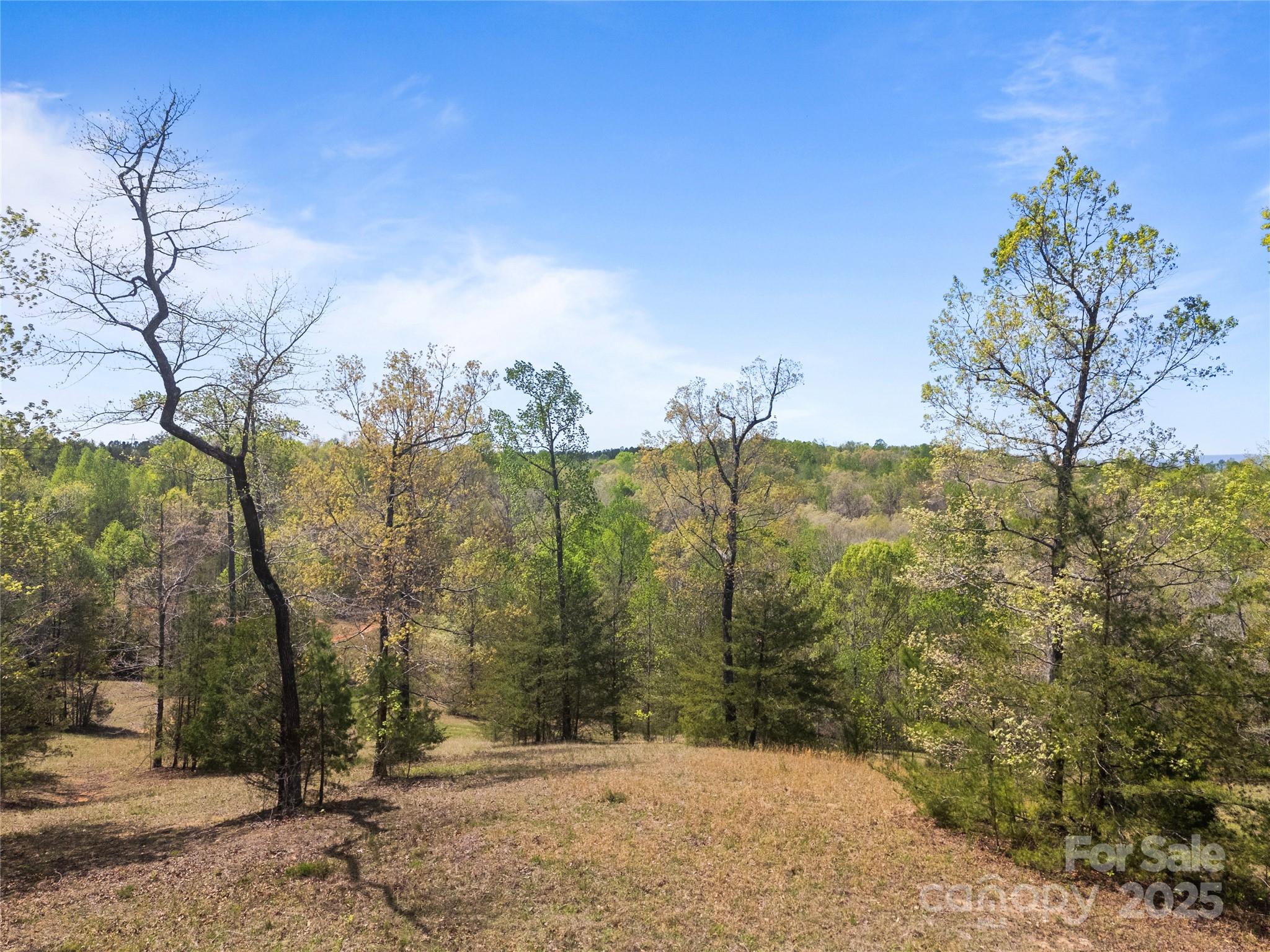 0 South County Line Road Rutherfordton, NC 28139 - Photo 23 of 47