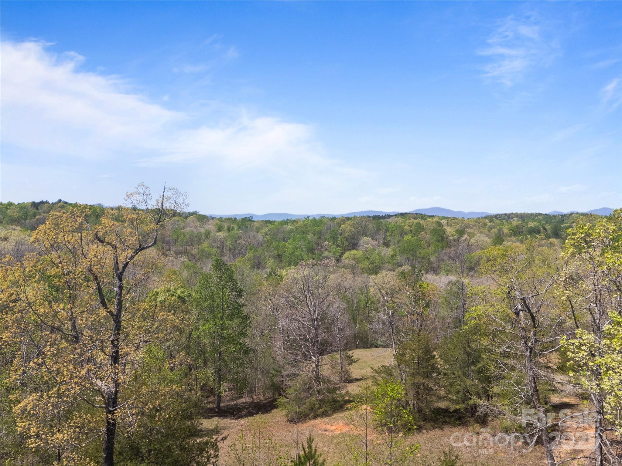 0 South County Line Road Rutherfordton, NC 28139 - Photo 24 of 47