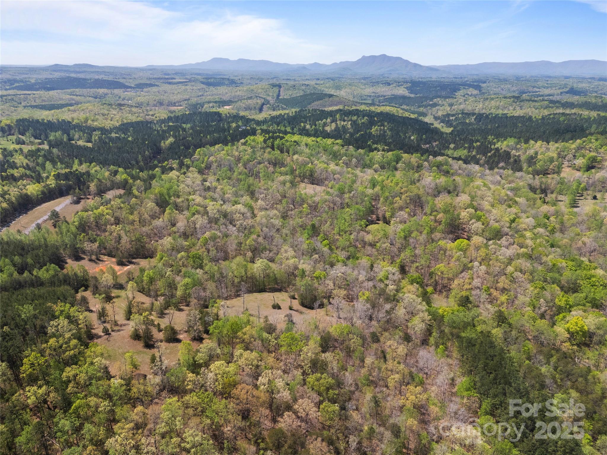 0 South County Line Road Rutherfordton, NC 28139 - Photo 29 of 47