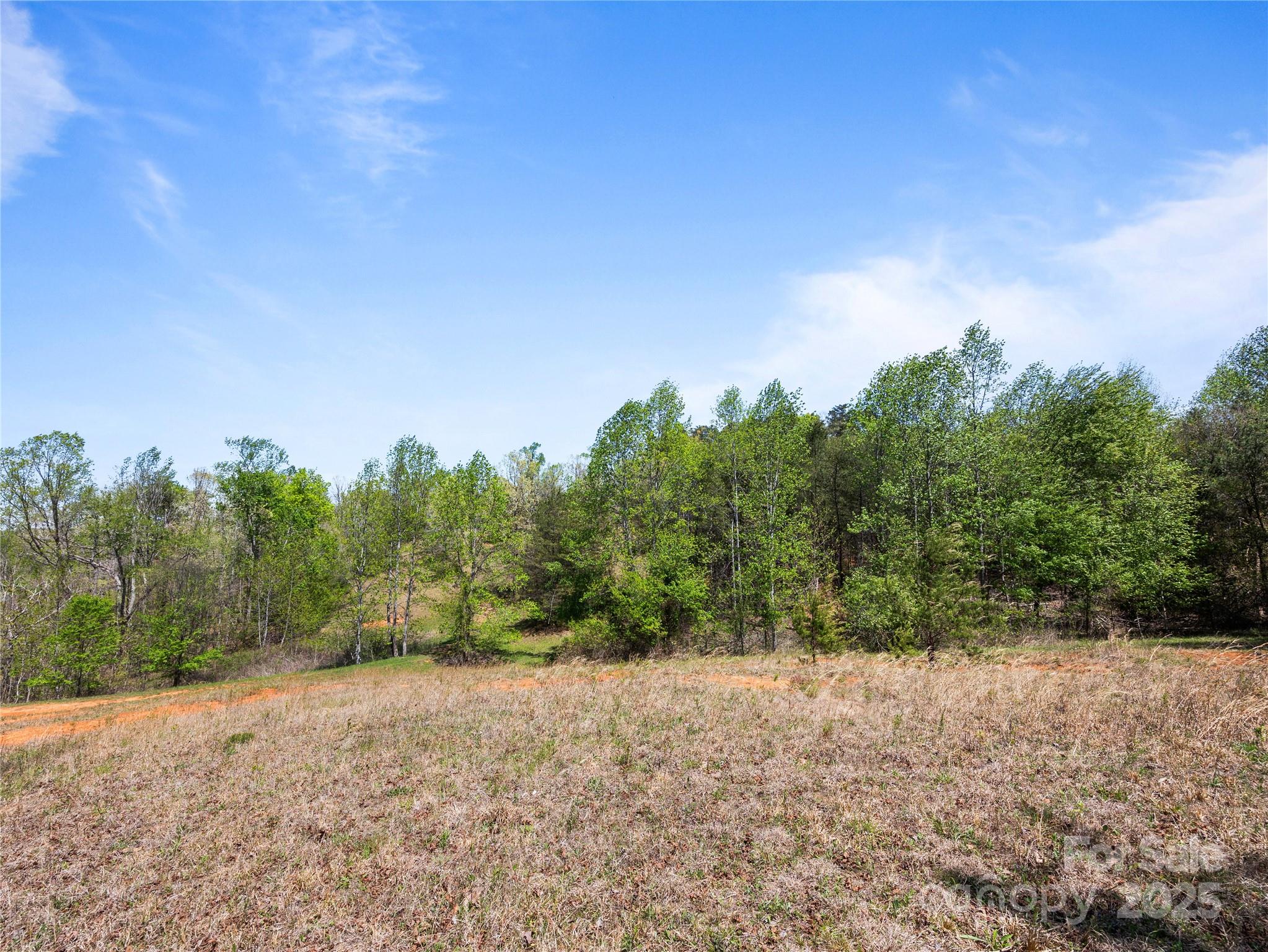 0 South County Line Road Rutherfordton, NC 28139 - Photo 34 of 47