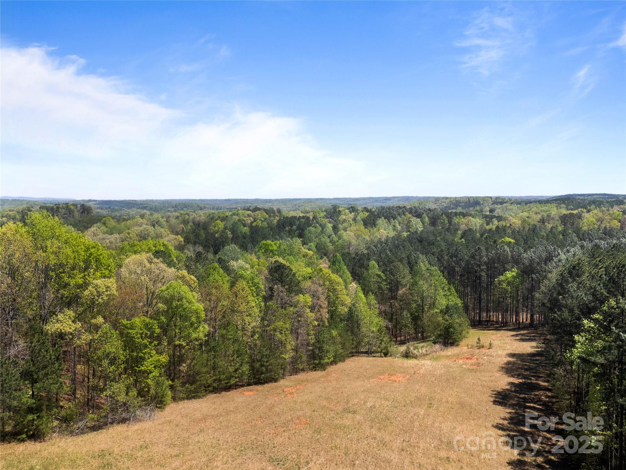 0 South County Line Road Rutherfordton, NC 28139 - Photo 35 of 47