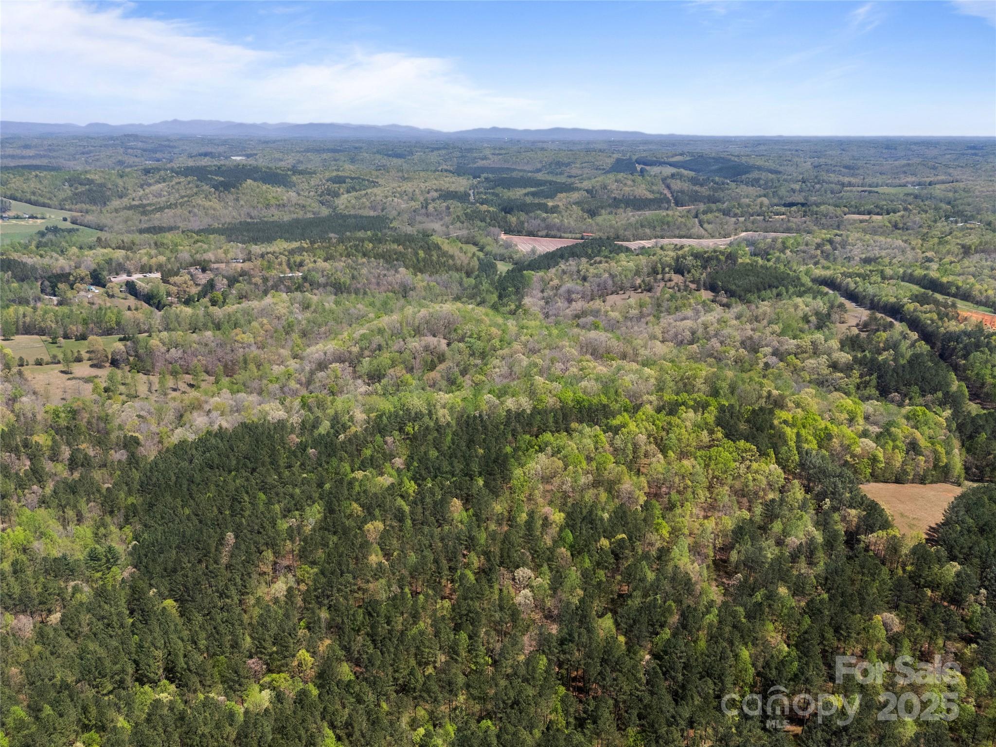 0 South County Line Road Rutherfordton, NC 28139 - Photo 37 of 47