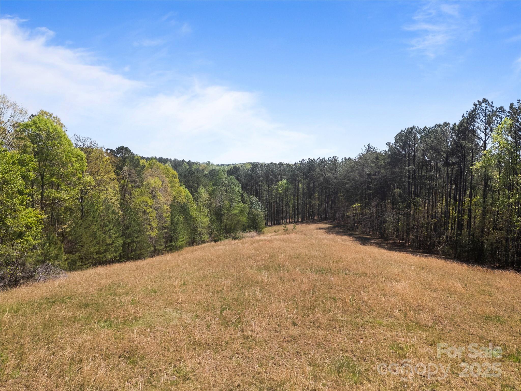 0 South County Line Road Rutherfordton, NC 28139 - Photo 38 of 47