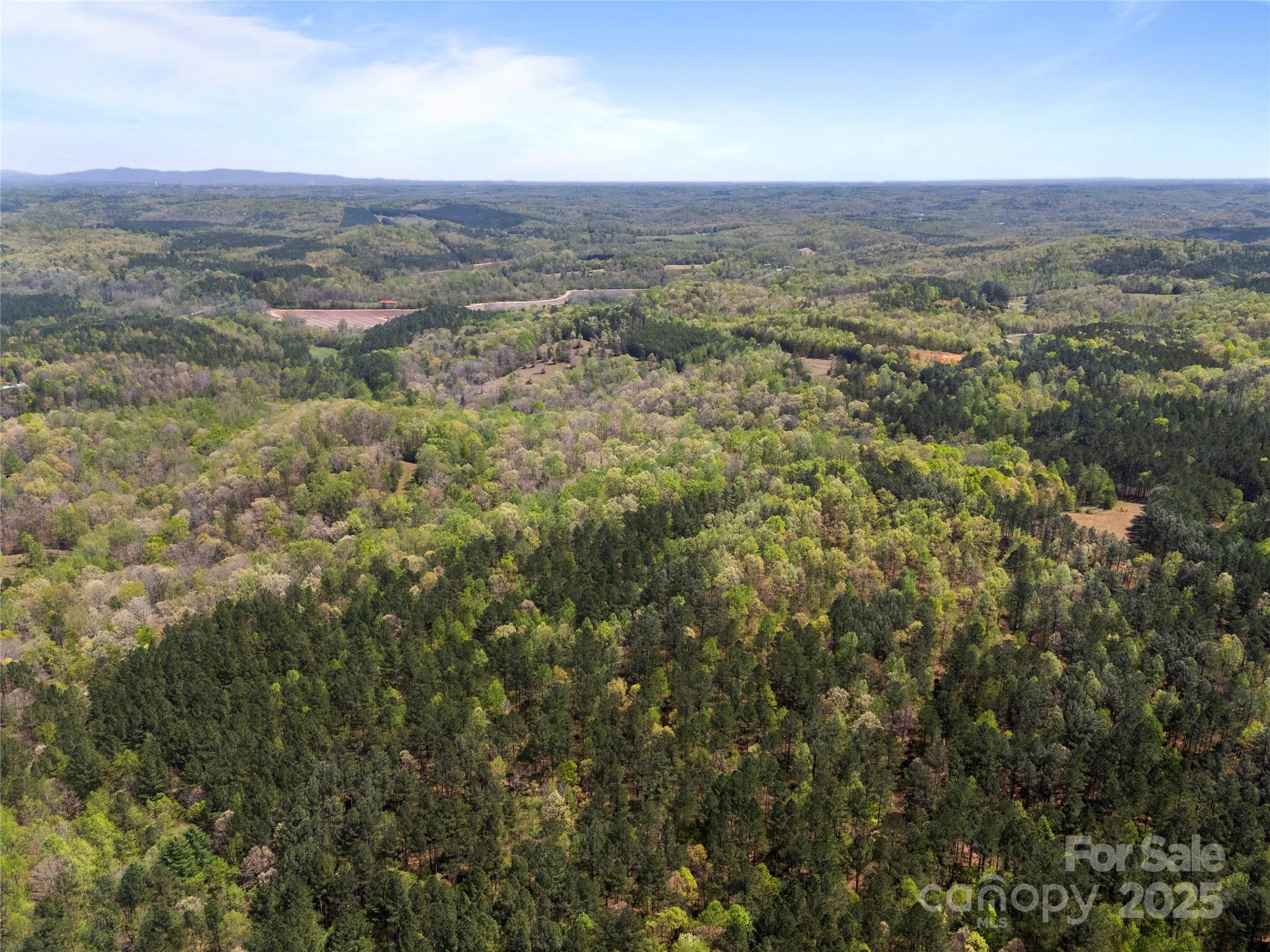 0 South County Line Road Rutherfordton, NC 28139 - Photo 39 of 47