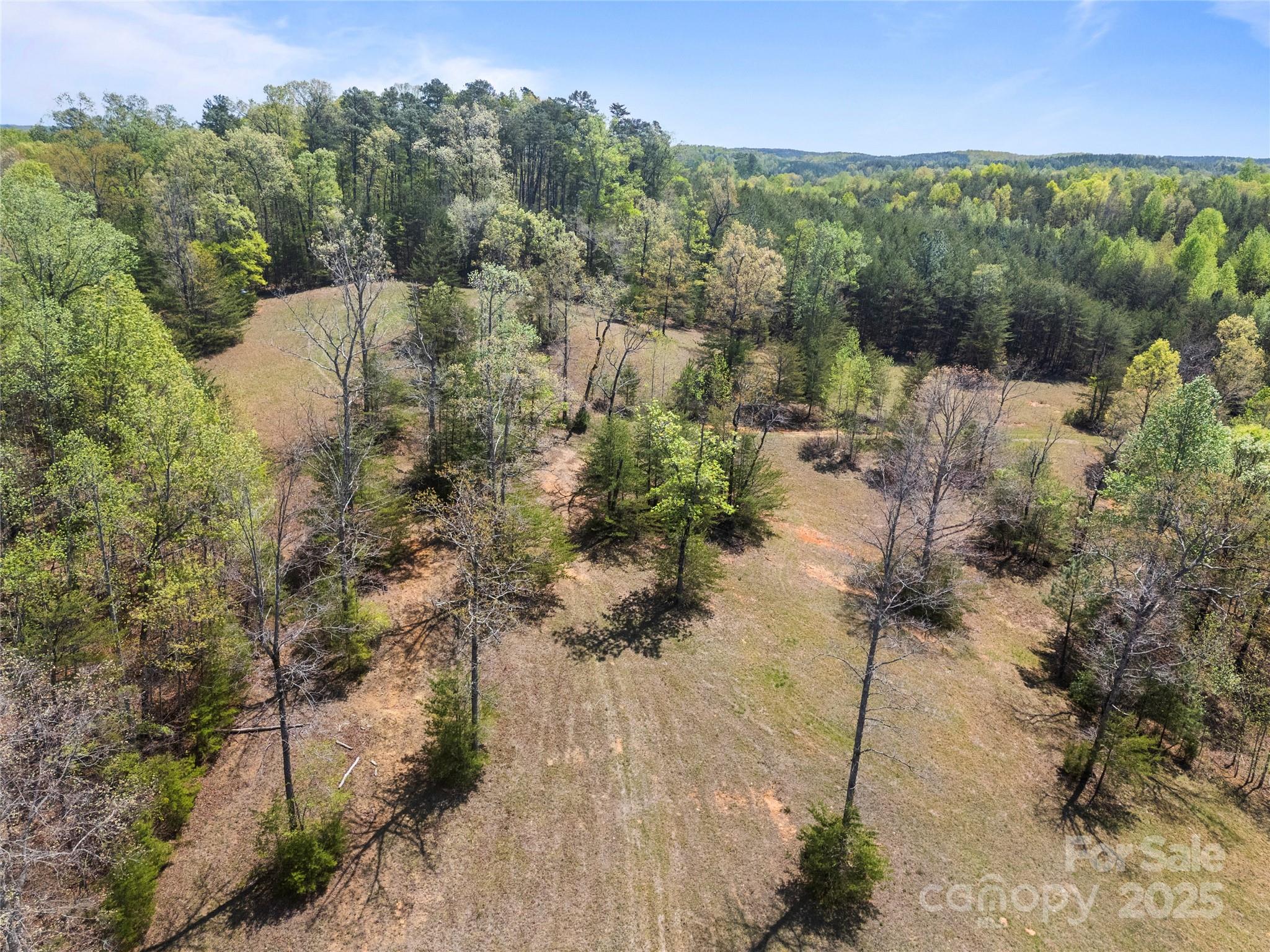 0 South County Line Road Rutherfordton, NC 28139 - Photo 42 of 47