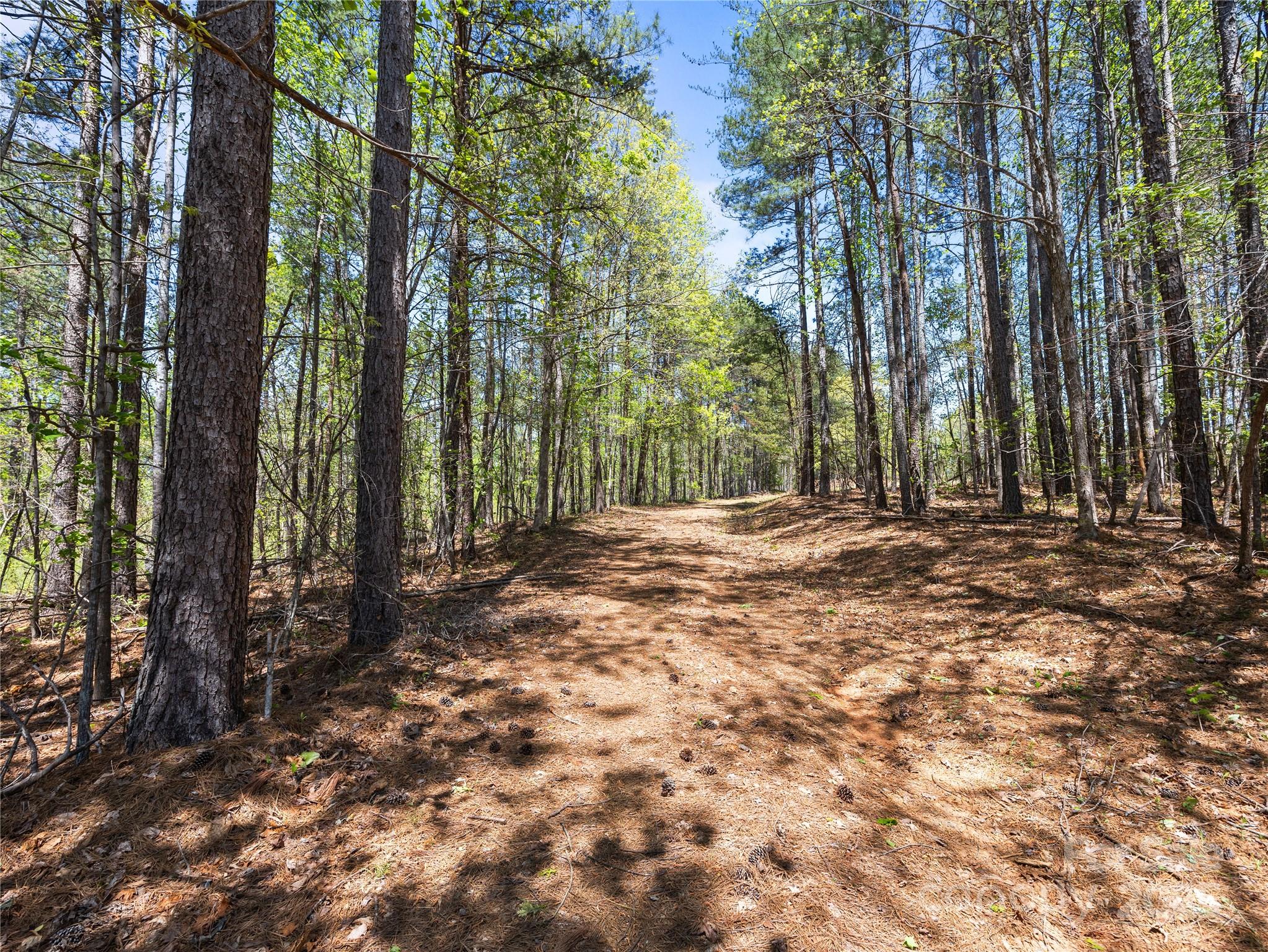 0 South County Line Road Rutherfordton, NC 28139 - Photo 43 of 47