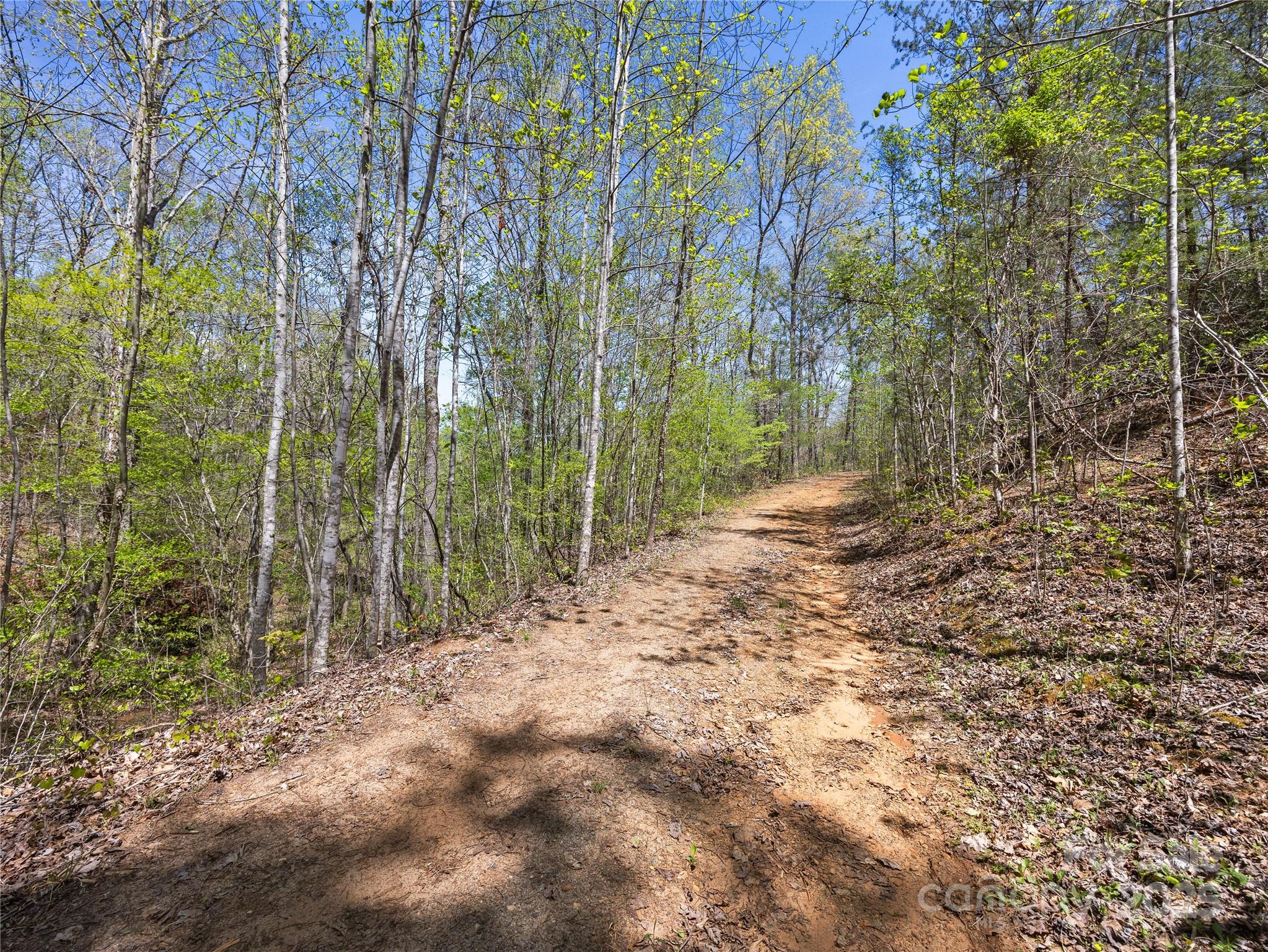 0 South County Line Road Rutherfordton, NC 28139 - Photo 44 of 47
