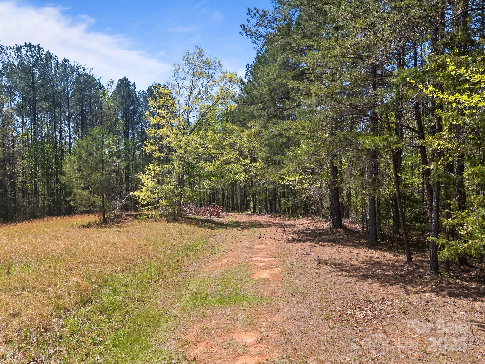 0 South County Line Road Rutherfordton, NC 28139 - Photo 45 of 47