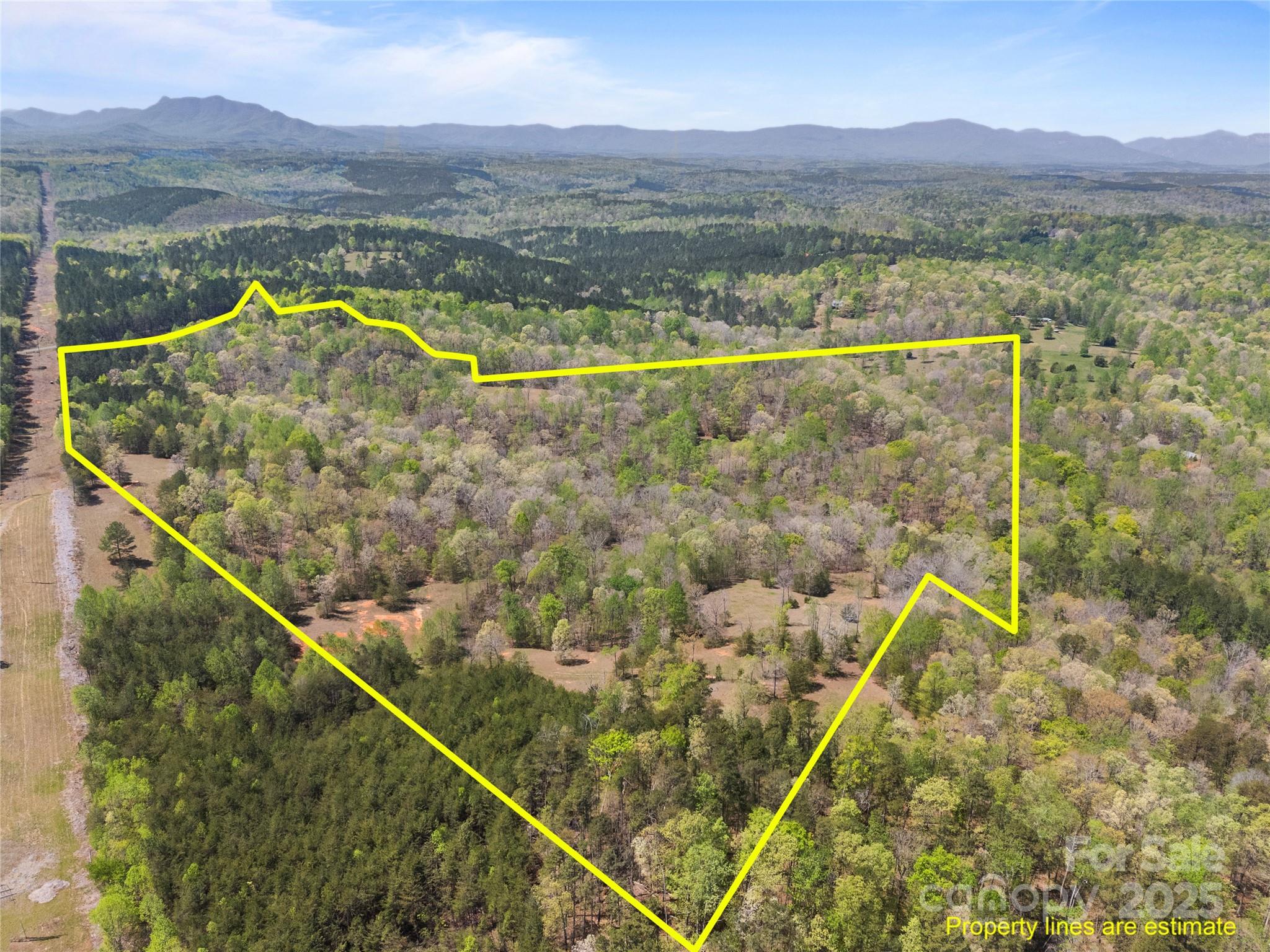 0 South County Line Road Rutherfordton, NC 28139 - Photo 47 of 47