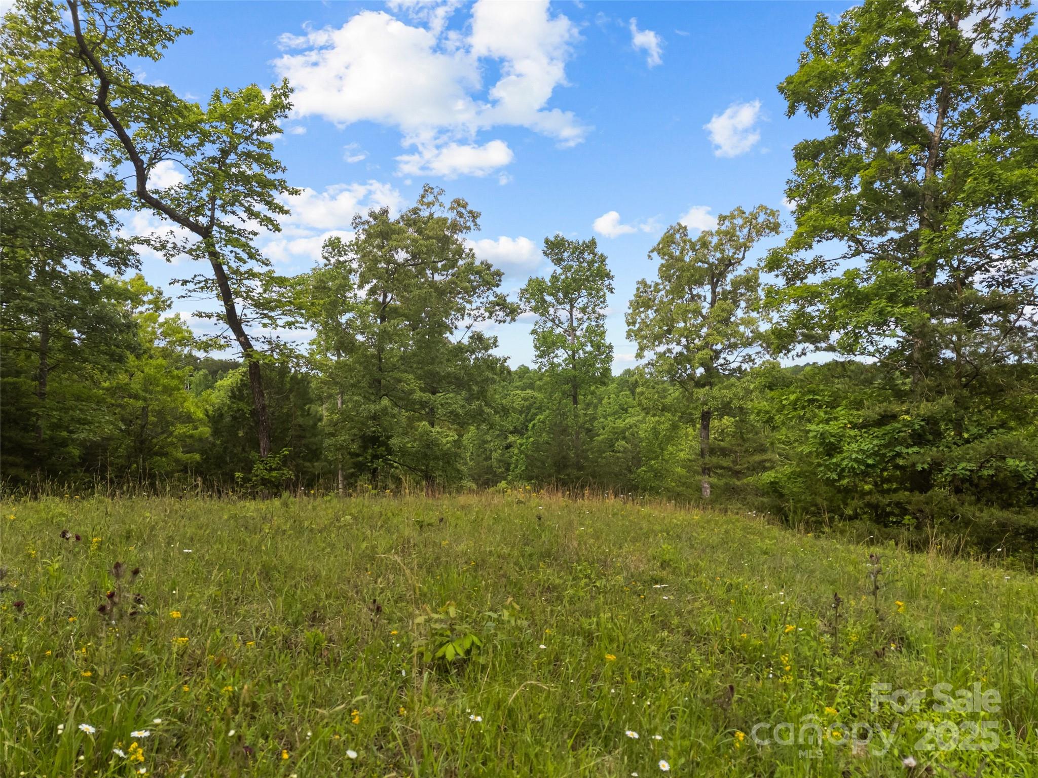 0 South County Line Road Rutherfordton, NC 28139 - Photo 5 of 47