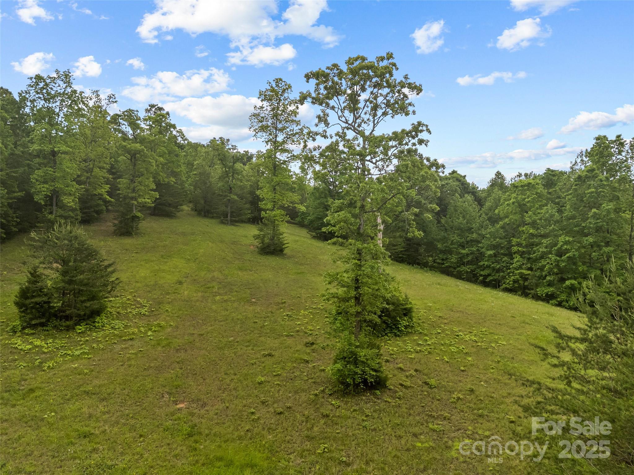 0 South County Line Road Rutherfordton, NC 28139 - Photo 6 of 47