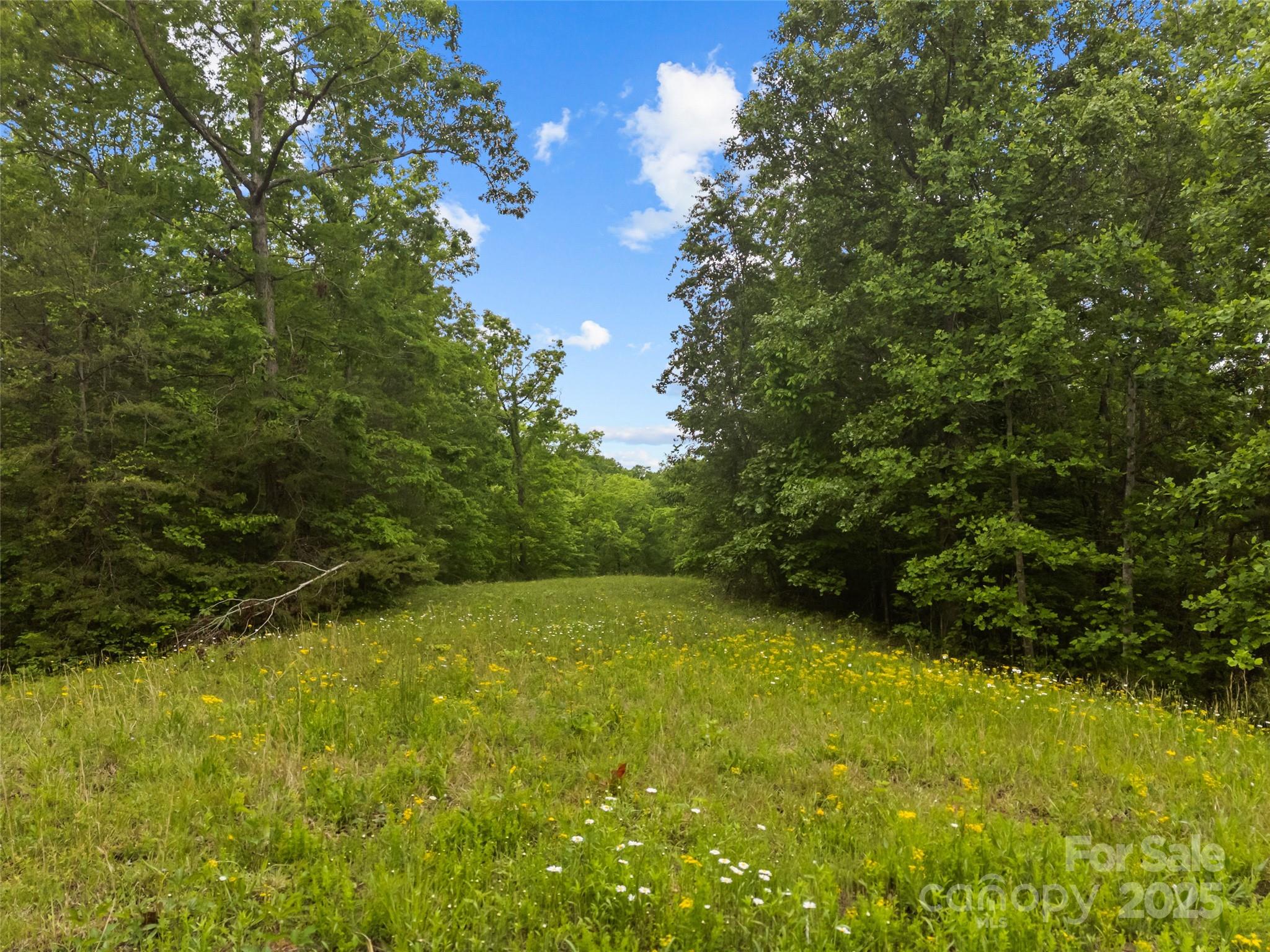 0 South County Line Road Rutherfordton, NC 28139 - Photo 7 of 47