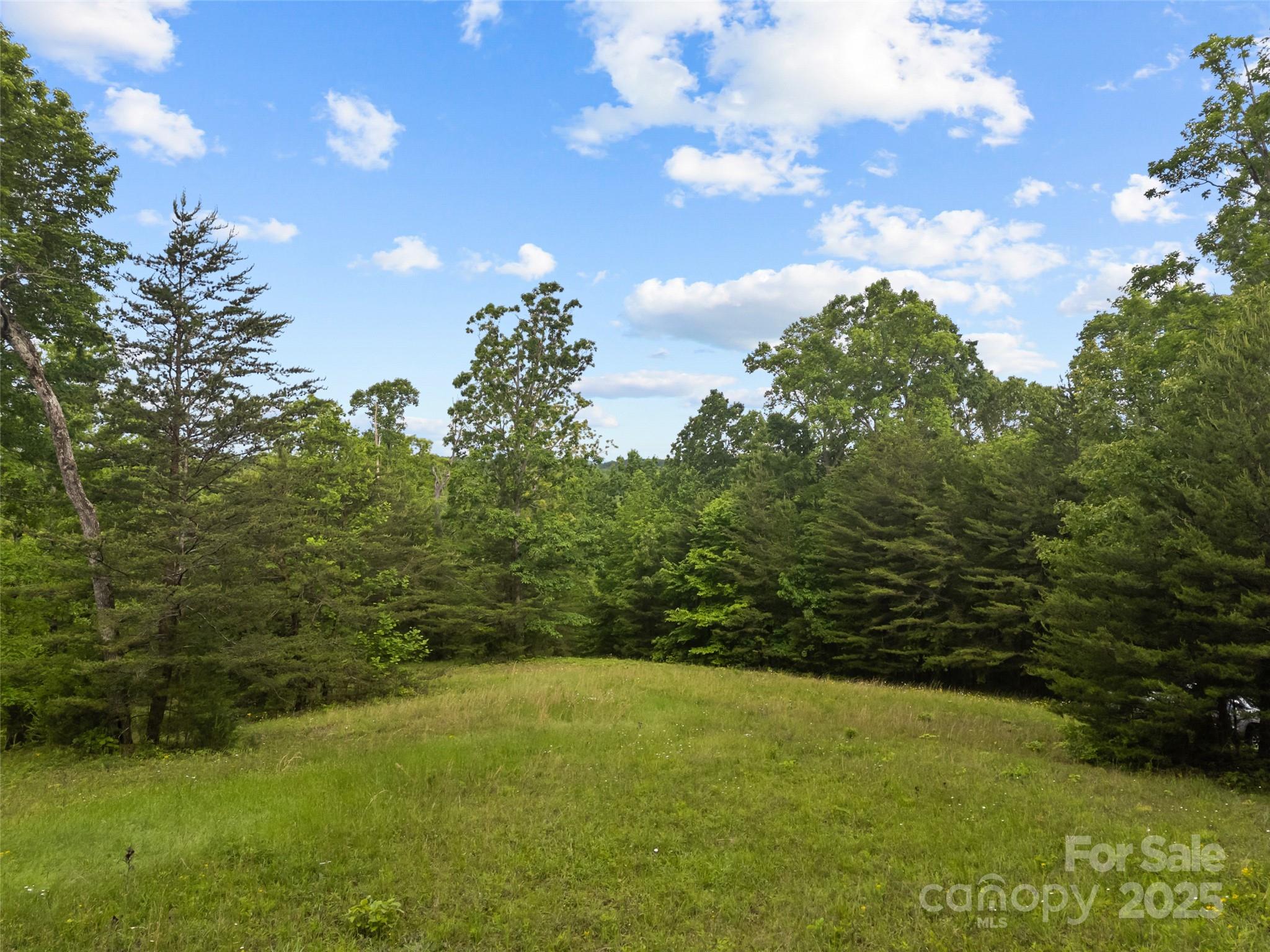 0 South County Line Road Rutherfordton, NC 28139 - Photo 8 of 47