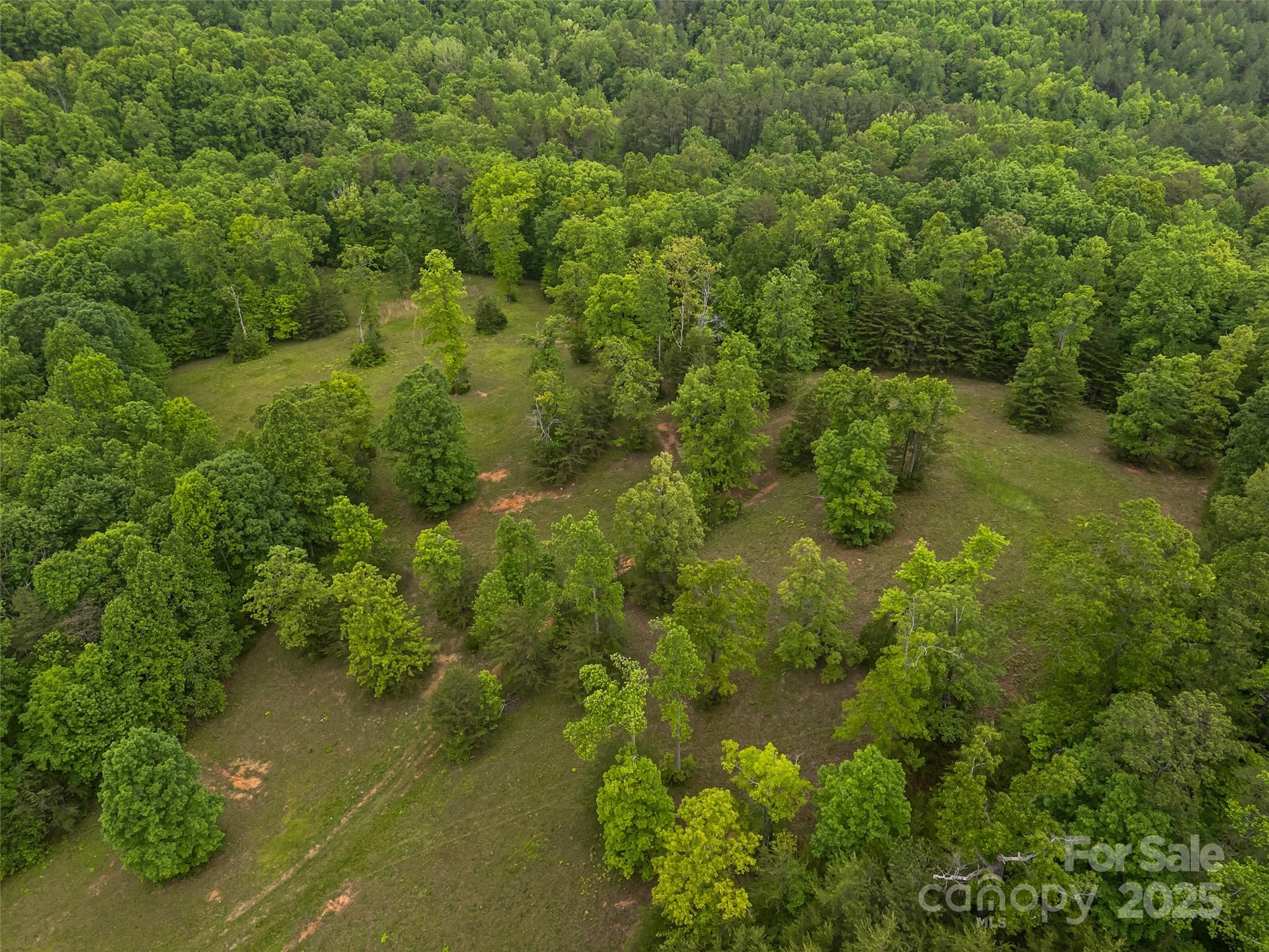 0 South County Line Road Rutherfordton, NC 28139 - Photo 9 of 47