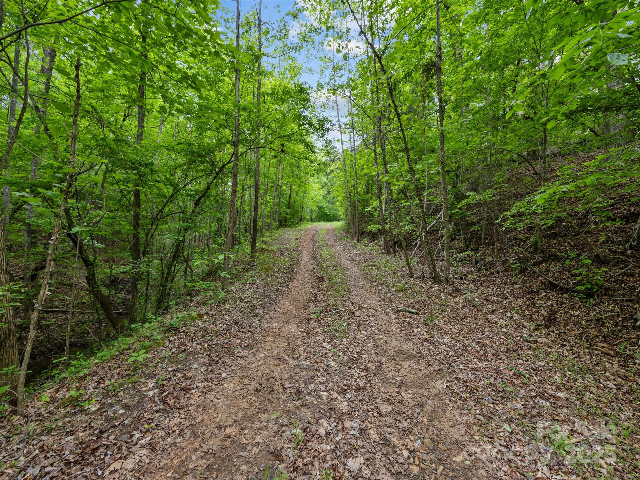 0 South County Line Road Rutherfordton, NC 28139 - Photo 10 of 47