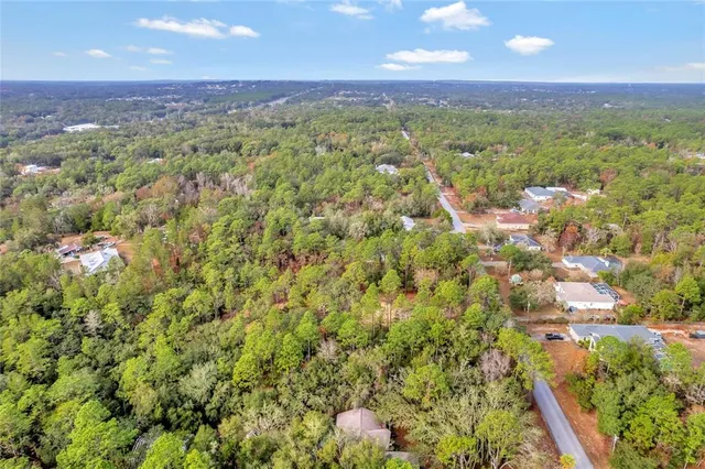 an aerial view of residential houses with outdoor space and trees
