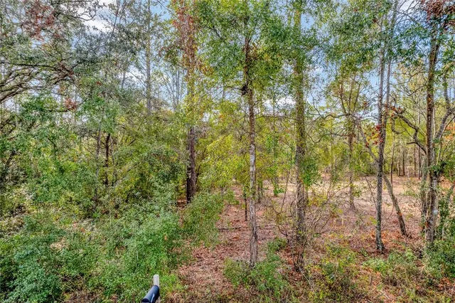 a view of a yard with plants and trees