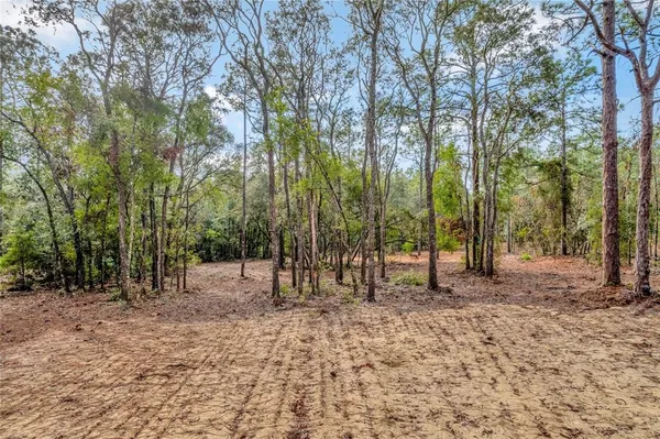 $49,900 | 1716 East Bismark Street, Hernando, FL 34442