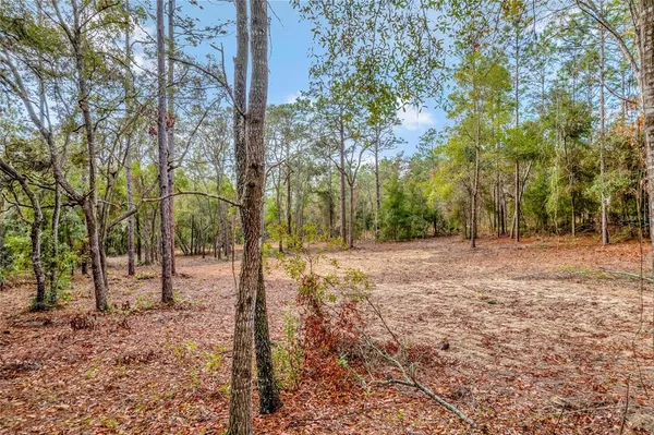 $49,900 | 1716 East Bismark Street, Hernando, FL 34442