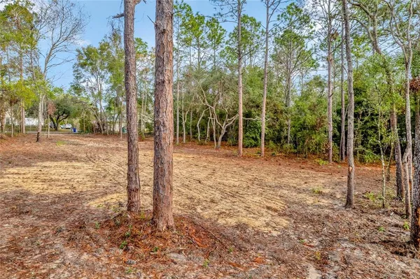 $49,900 | 1716 East Bismark Street, Hernando, FL 34442