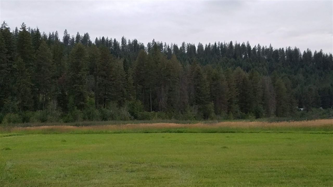3238 East Jump Off Road Valley, WA 99181 - Photo 1 of 15