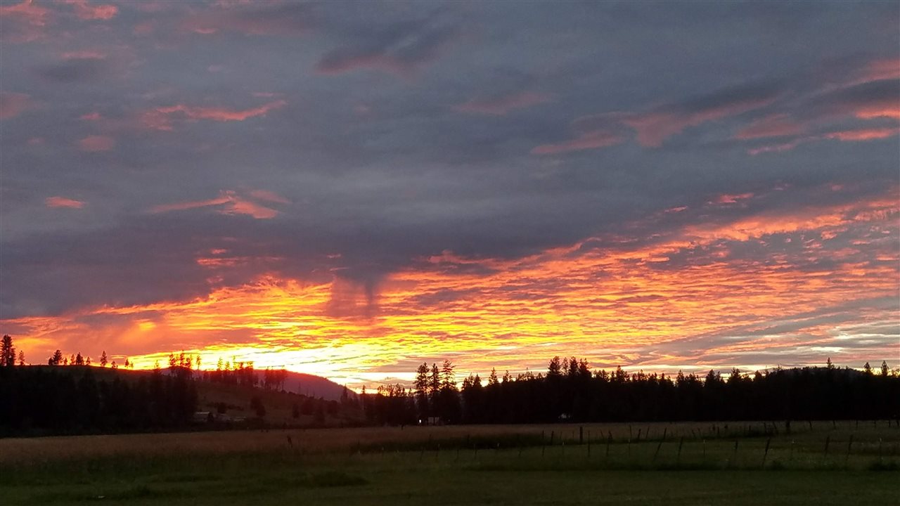 3238 East Jump Off Road Valley, WA 99181 - Photo 4 of 15