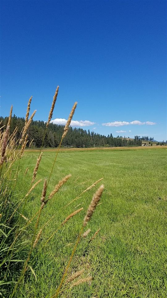 3238 East Jump Off Road Valley, WA 99181 - Photo 6 of 15