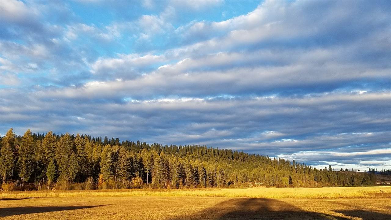 3238 East Jump Off Road Valley, WA 99181 - Photo 7 of 15