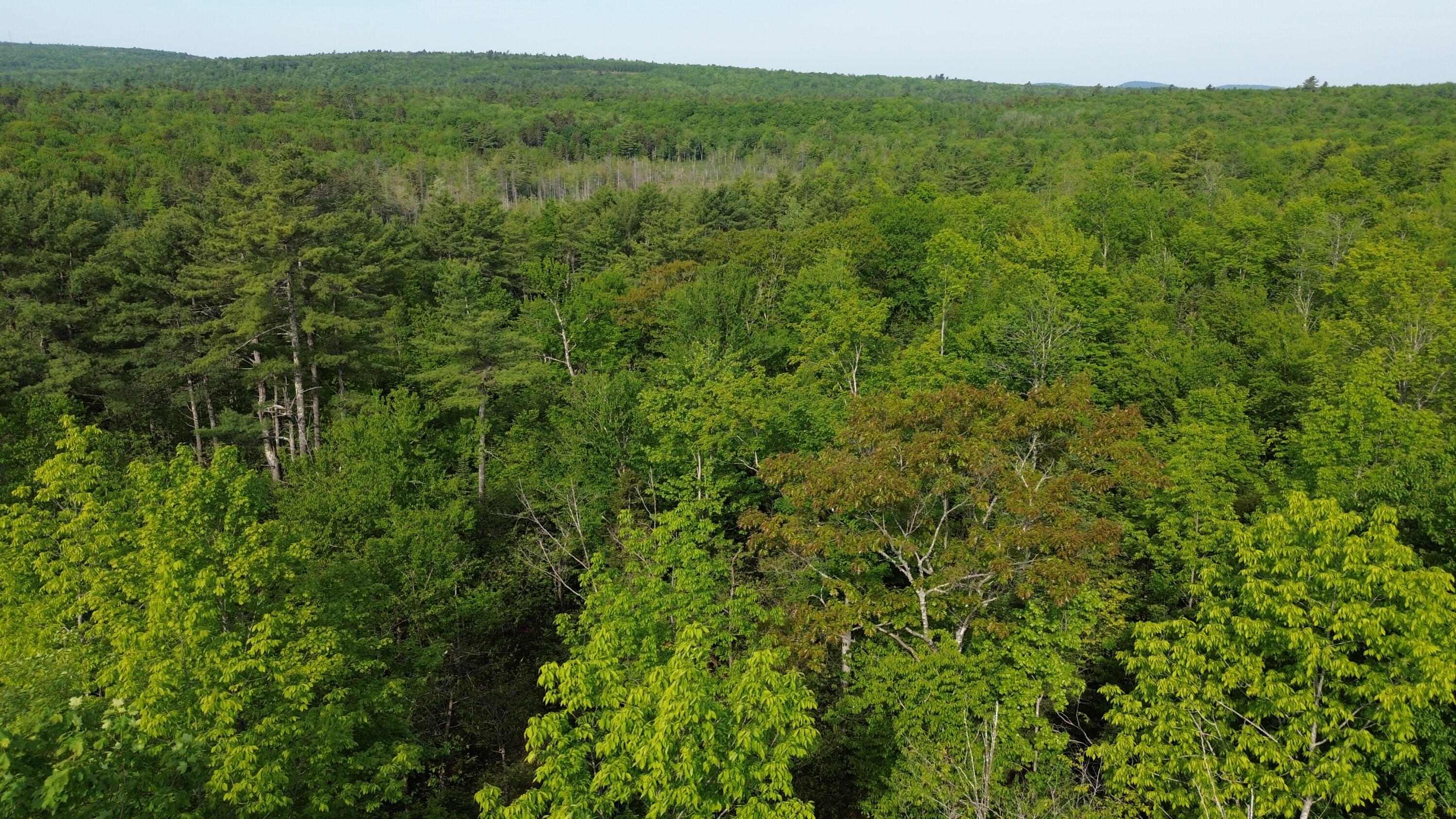 M5-l13 Clark Road Prospect, ME 04981 - Photo 5 of 33 DJI_0119