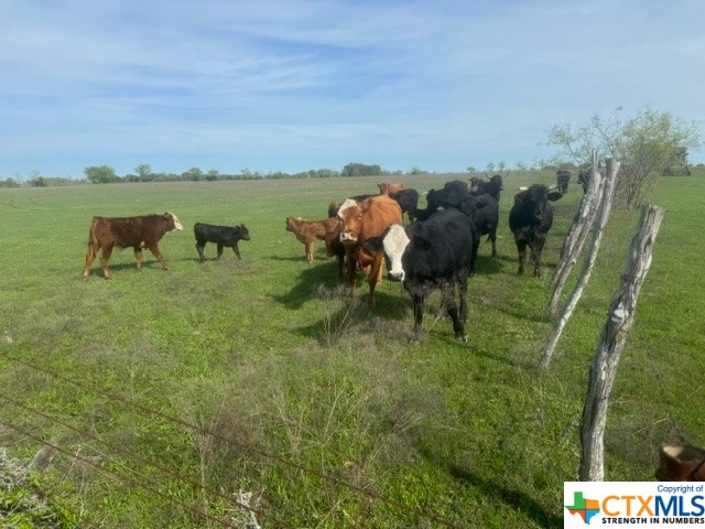 1291 Tweedy Road Valley Mills, TX 76689 - Photo 25 of 32