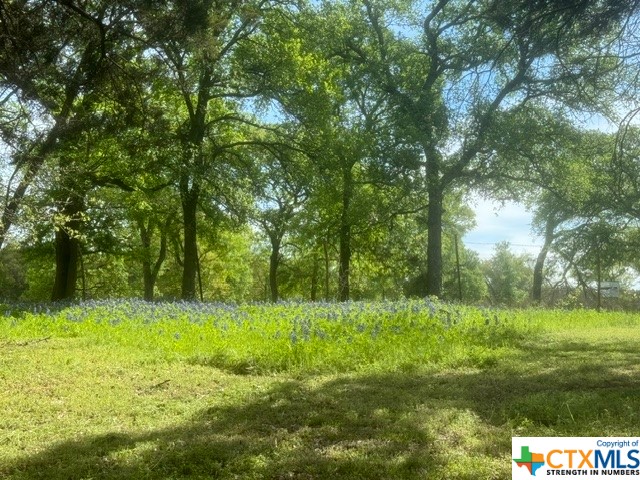 1291 Tweedy Road Valley Mills, TX 76689 - Photo 29 of 32