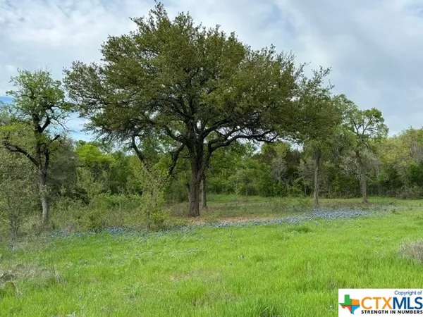 $1,999,500 | 1291 Tweedy Road, Valley Mills, TX 76689