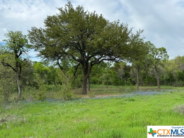 1291 Tweedy Road Valley Mills, TX 76689 - Photo 7 of 32