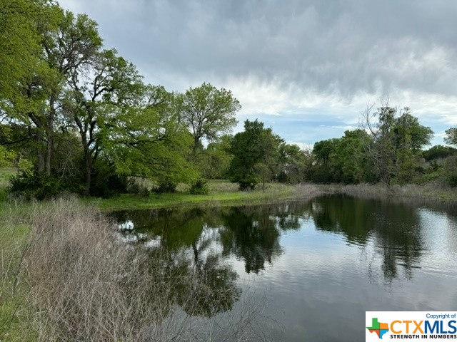 1291 Tweedy Road Valley Mills, TX 76689 - Photo 9 of 32