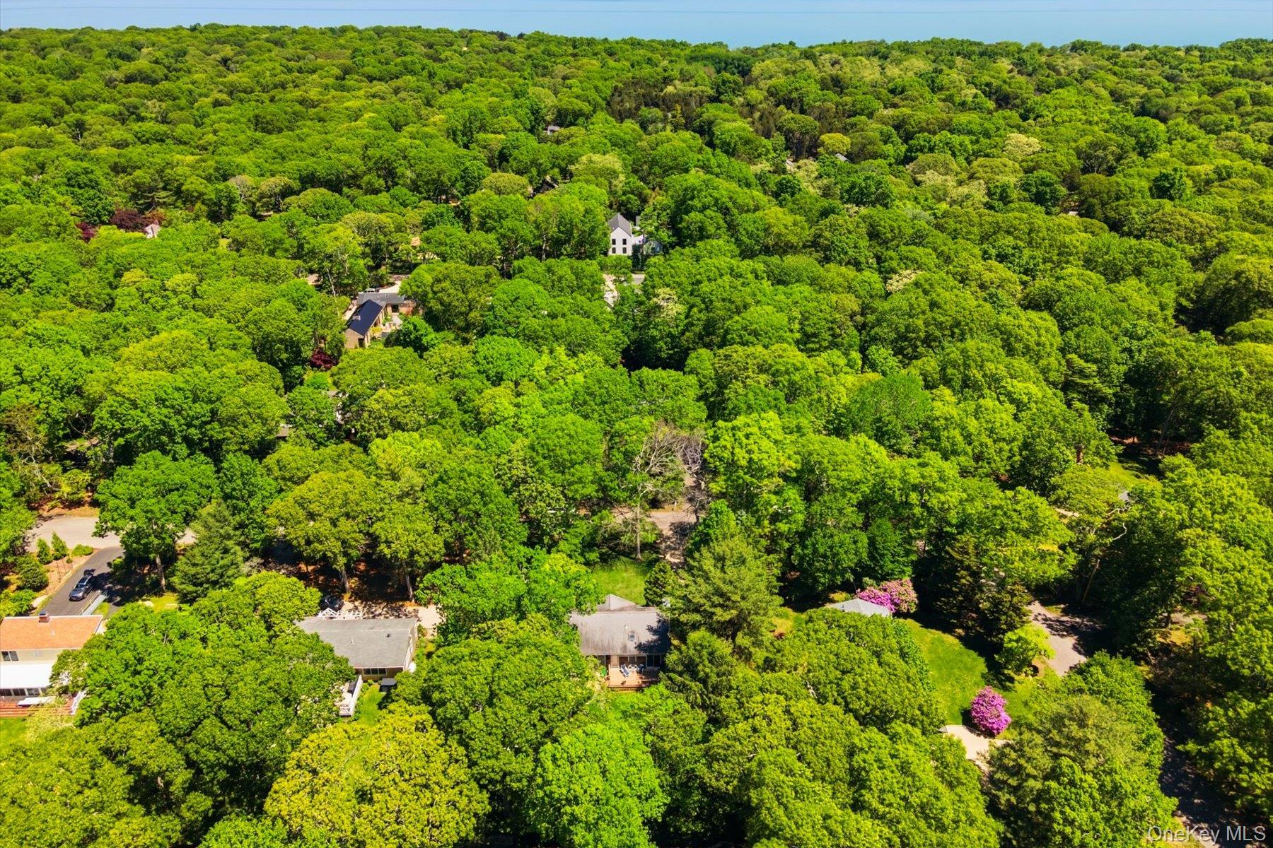 34 Water Hole Road East Hampton, NY 11937 - Photo 4 of 32