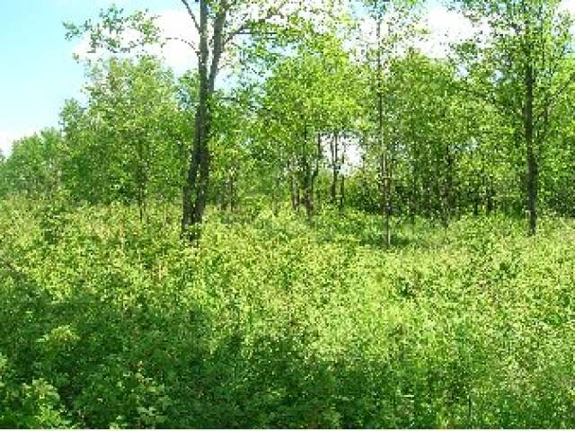 N2102 Cth Road Kennan, WI 54537 - Photo 9 of 9 Gallery Image 9