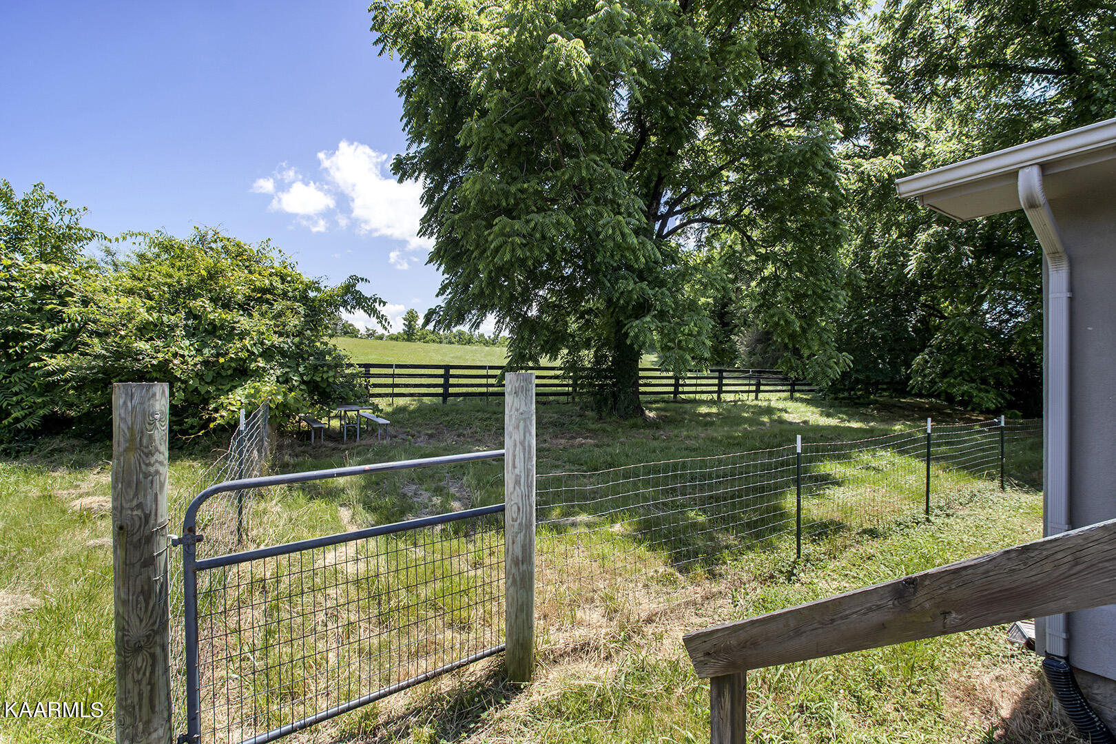 4665 Miser Station Road Friendsville, TN 37737 - Photo 35 of 38 Marble City Real Estate Group