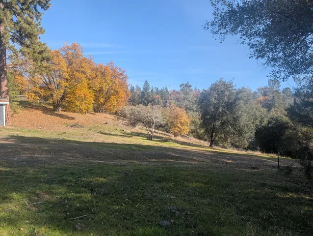 a view of a yard with trees
