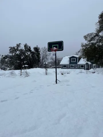 a view of lot of trees