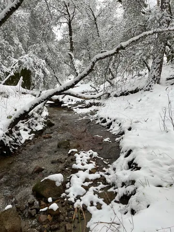a view of a house with a mountain and a forest
