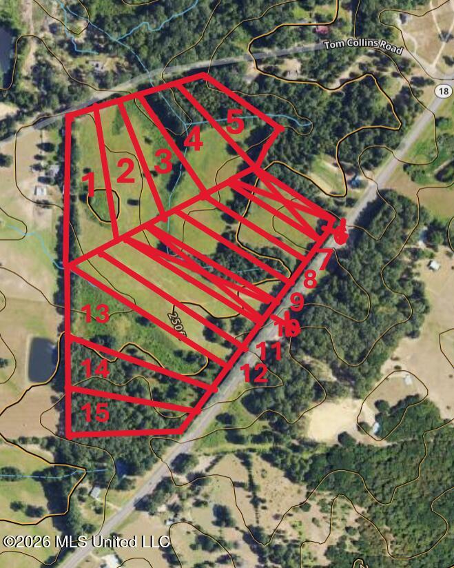 0 Tom Collins Road Utica, MS 39175 - Photo 12 of 14 Utica Onx