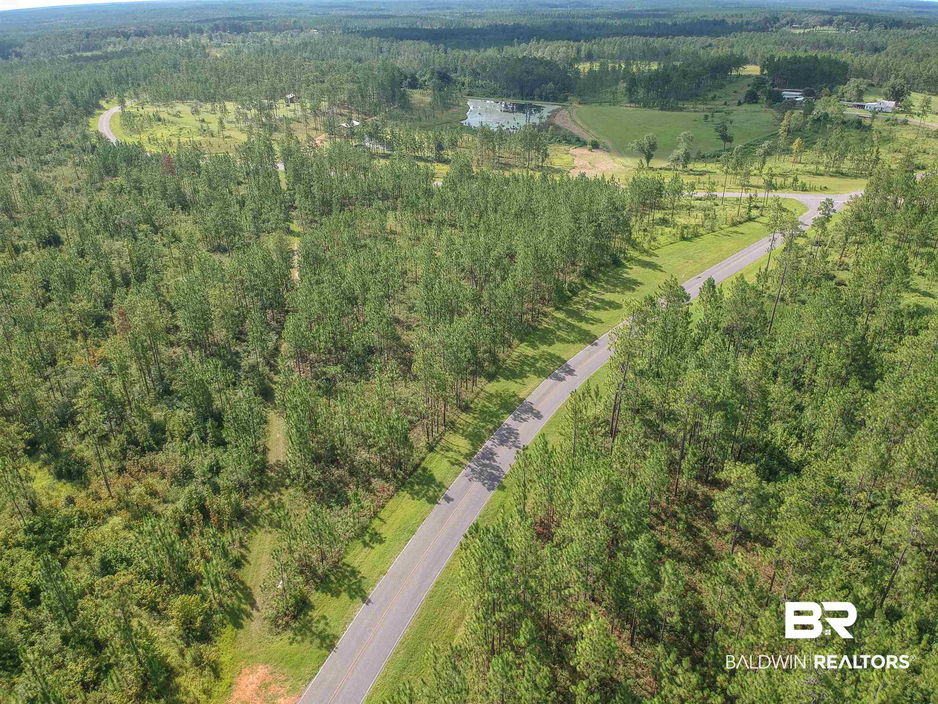 0 Robert White Road Perdido, AL 36562 - Photo 6 of 6