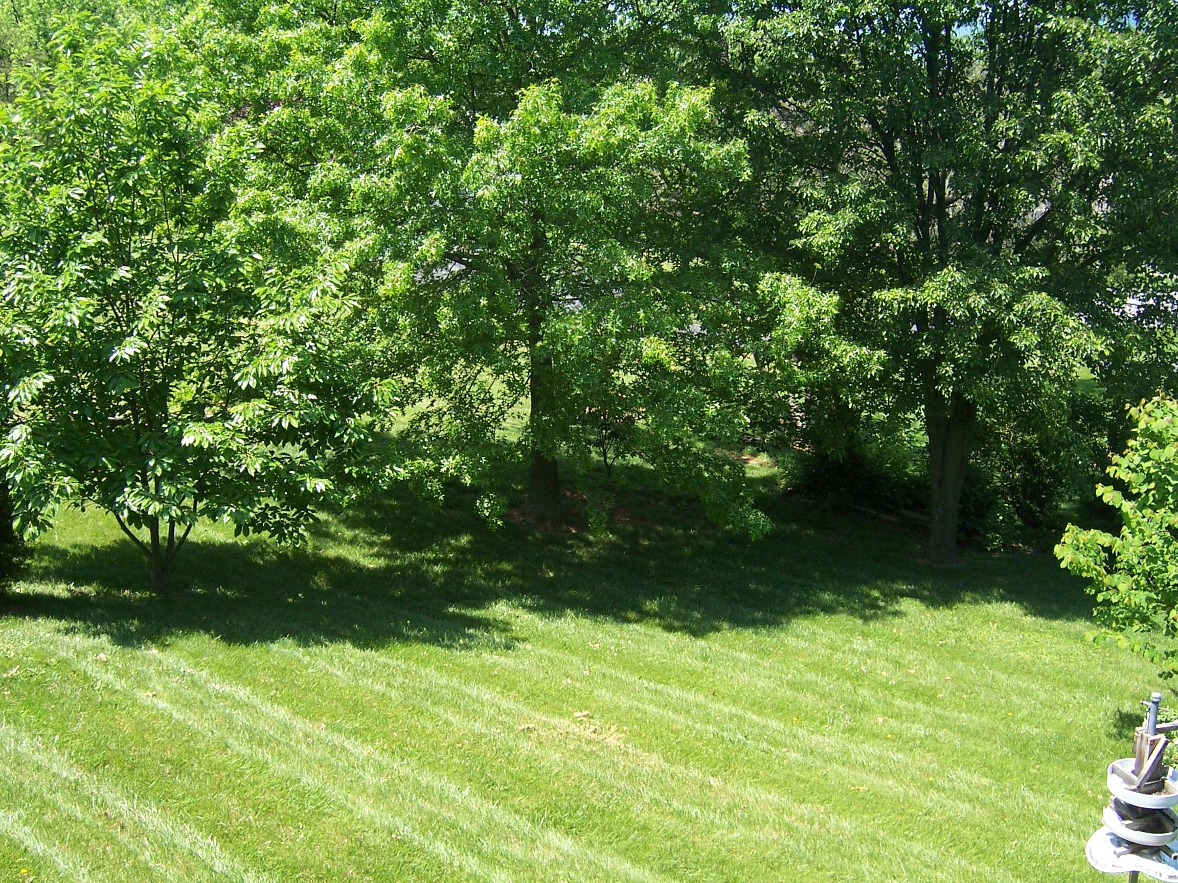 87 Jay Ridge Road Cloverdale, VA 24077 - Photo 42 of 43 Yard