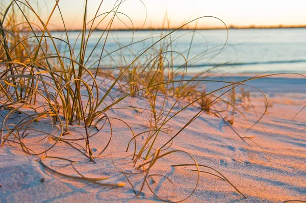 $655,000 | 209 Lions Gate Drive, St. Augustine, FL 32080