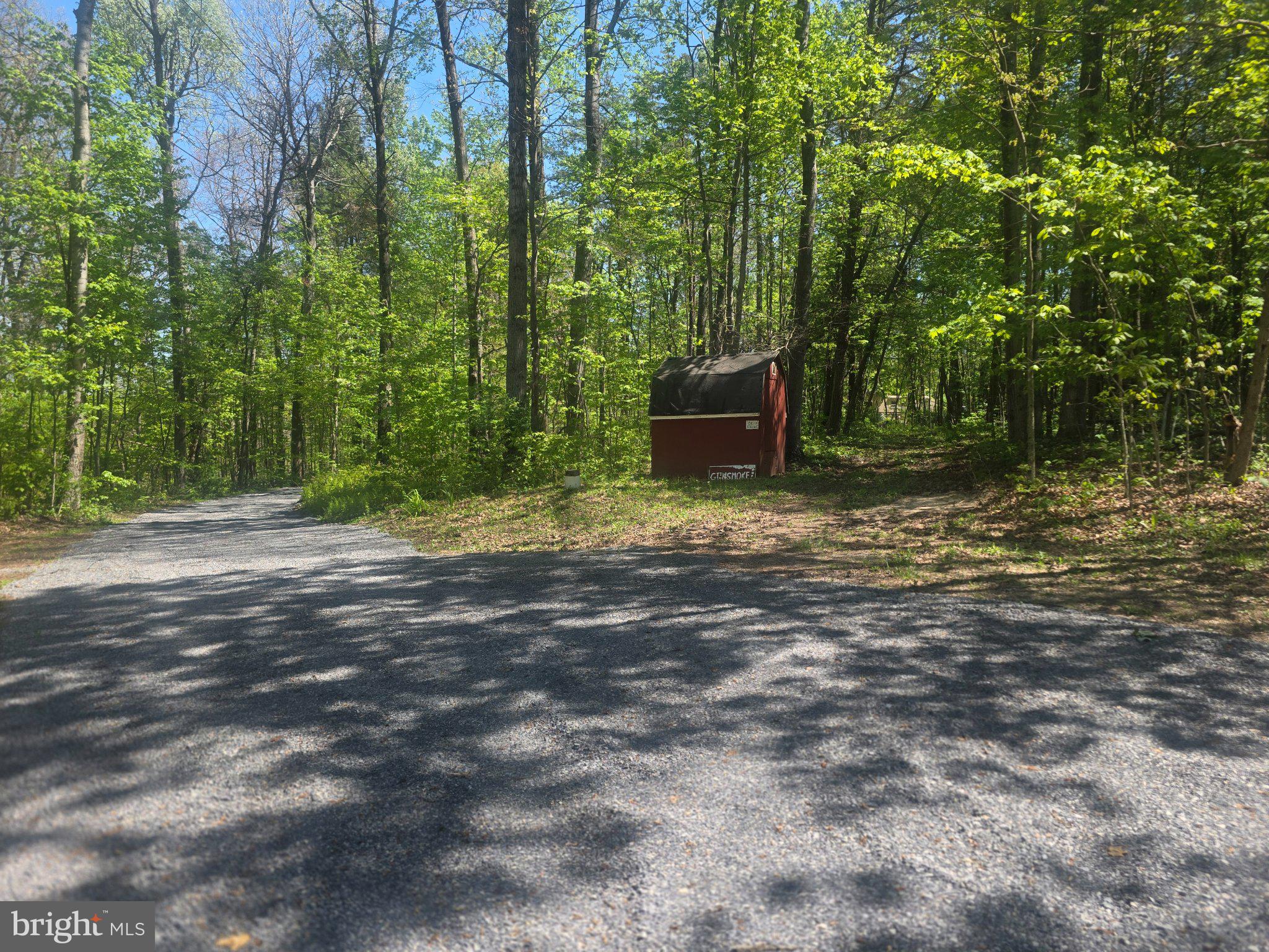 357 Gunsmoke Road Warfordsburg, PA 17267 - Photo 22 of 23 Charming shed nestled in lush woods.