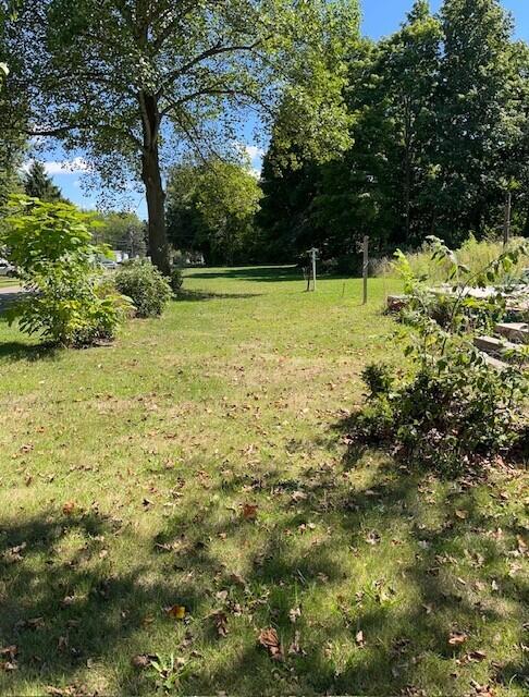 700 11th Street Three Rivers, MI 49093 - Photo 2 of 4 700 11TH 2